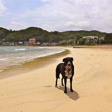 ホテルHareya 下田市 エクステリア 写真