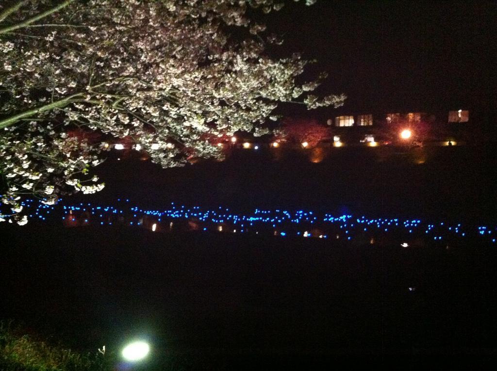 ホテルHareya 下田市 エクステリア 写真