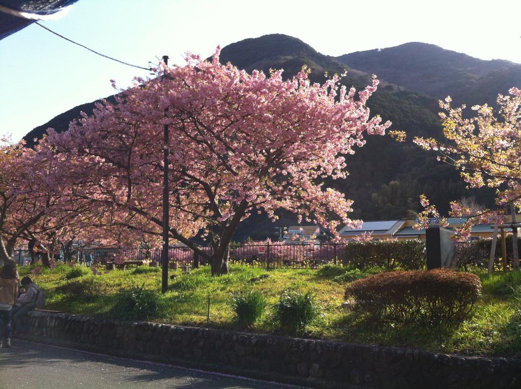 ホテルHareya 下田市 エクステリア 写真