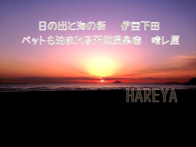 ホテルHareya 下田市 エクステリア 写真